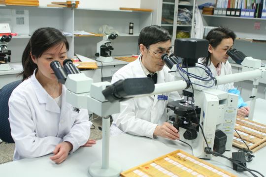 38 病理科_页面_4_图像_0002.jpg 38 病理科_页面_4_图像_0002.jpg