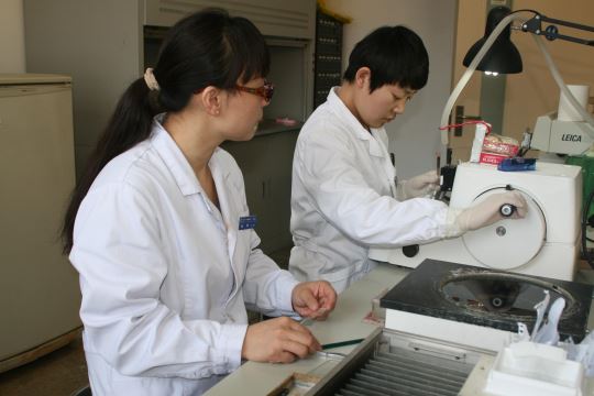 38 病理科_页面_4_图像_0001.jpg 38 病理科_页面_4_图像_0001.jpg