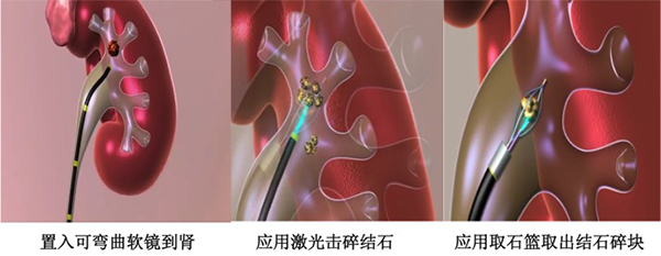 图片8.jpg 图片8.jpg