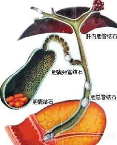 图片34.png