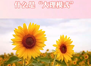 大理模式再出发！