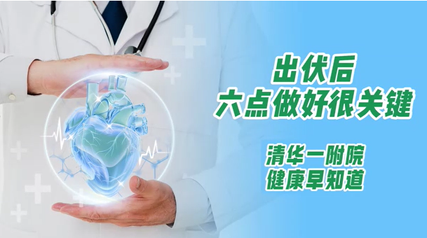 出伏后六点做好很关键