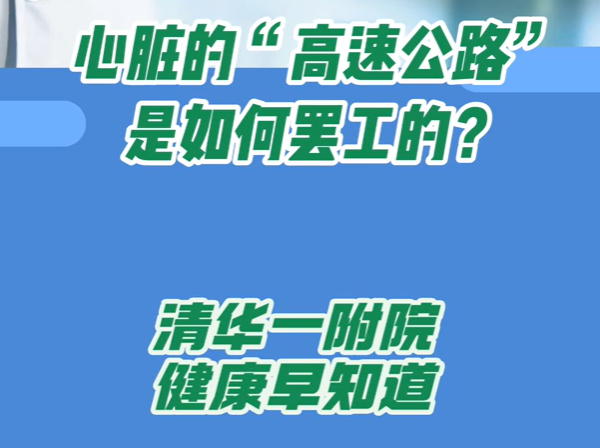 心脏的“高速公路”是如何罢工的？