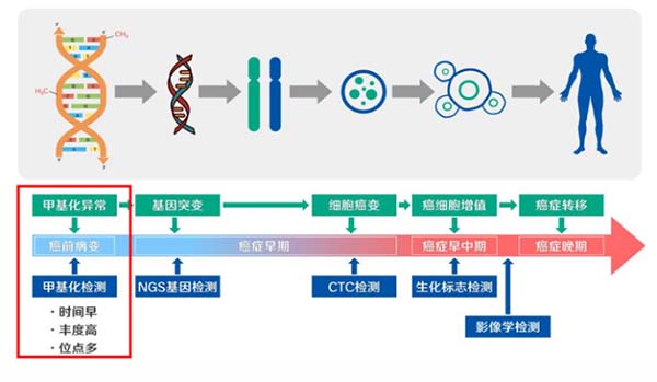 聚焦肿瘤早筛：清华一附院检验科开展DNA甲基化检测项目