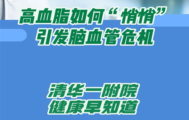 高血脂如何“悄悄”引发脑血管危机
