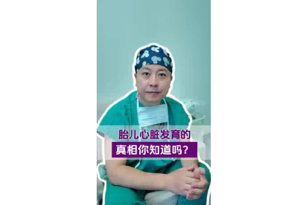 胎儿心脏发育的真相你知道吗？